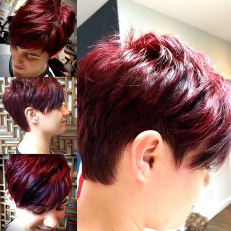 Short Burgundy Hair Pixie, Red Short Hair Pixie, Dark Red Pixie Haircut, Short Red Hair Pixie, Red Hair Pixie Cut, Short Burgundy Hair, Red Pixie Haircut, Red Hair Tips, Bob Hairs