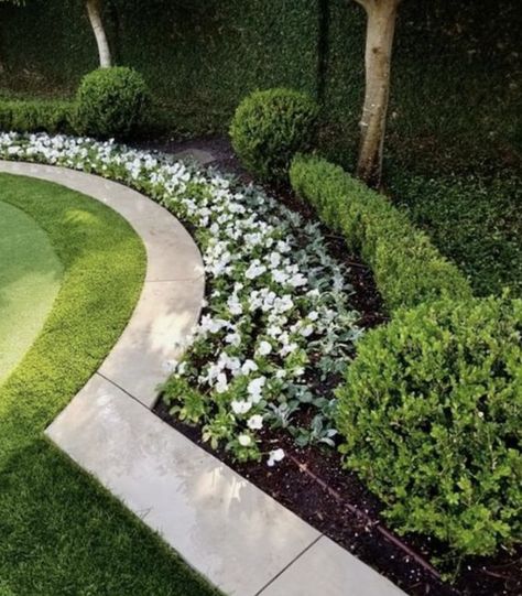 Front Yard Landscaping Hedges, Million Dollar Landscaping, Wee White Hydrangea Landscape, Stone Path To Front Door, New England Backyard Ideas, Large Area Landscaping Ideas, Boxwood Hedge Front Yard, Patio Chico, Boxwood Landscaping