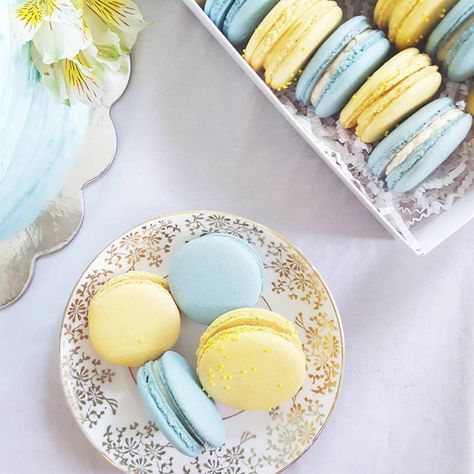 blue and yellow macarons Blue And Yellow Macarons, Blue And Yellow Dessert Table, Aesthetic Macaroons, Espresso Macarons, Yellow Macarons, Yellow Blue Aesthetic, Macarons Raspberry, Grey Macarons, Oreo Macarons