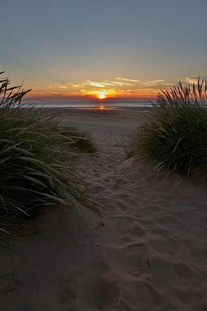 Sand Dunes, Norfolk, The Sun, The Beach, Sun, Photography