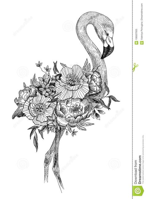 Animal Plant Drawing, Animals And Plants Drawing, Animal Flower Drawing, Animals With Flowers Drawing, Bird And Flower Drawing, Drawing Of A Flamingo, Bouquet Of Flowers Illustration, Exotic Drawing, Tropical Drawing