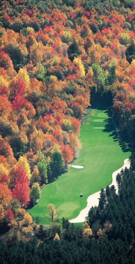 Mountain Ridge Course, Hole 15. Book your tee times today! ⛳ Crystal Mountain Michigan, Bar Aesthetic, Crystal Mountain, Golf School, Summer Golf, Golf Outing, Golf Digest, Driving Range, Wedding Fall