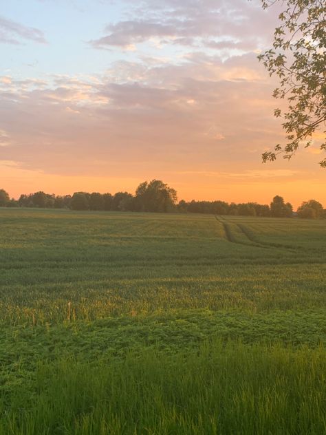 Cottagecore Morning Aesthetic, Summer Walk Aesthetic Morning, Rural Summer Aesthetic, Summer Mornings Aesthetic, Late Summer Vibes, Summer Heat Aesthetic, Early Summer Morning Aesthetic, Warm Spring Aesthetic, Late Spring Aesthetic