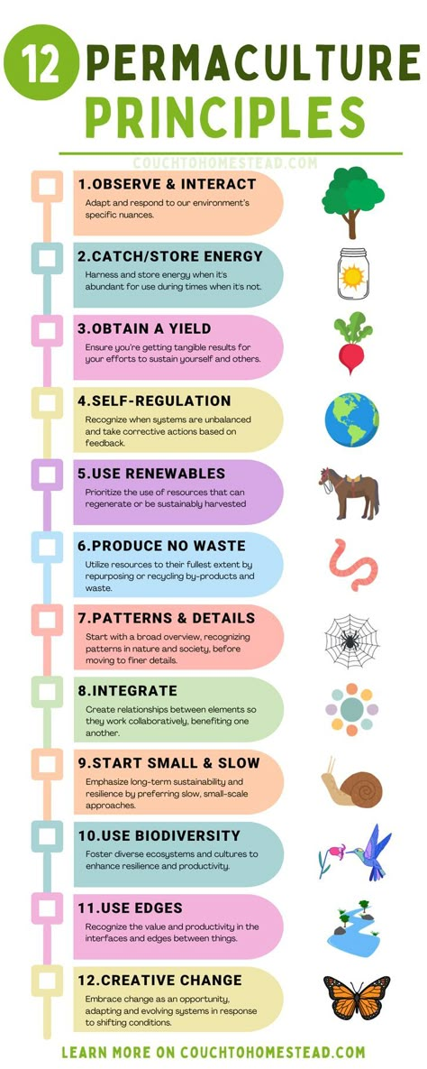 Observe and Interact
Catch and Store Energy
Obtain a Yield
Apply Self-Regulation and Accept Feedback
Use and Value Renewable Resources and Services
Produce No Waste
Design from Patterns to Details
Integrate Rather than Segregate
Use Small and Slow Solutions
Use and Value Diversity
Use Edges and Value the Marginal
Creatively Use and Respond to Change Permaculture Food Forest, Permaculture Design Course, Permaculture Principles, Forest School Activities, Family Compound, Natural Farming, Eco Garden, Farm Plans, Permaculture Design