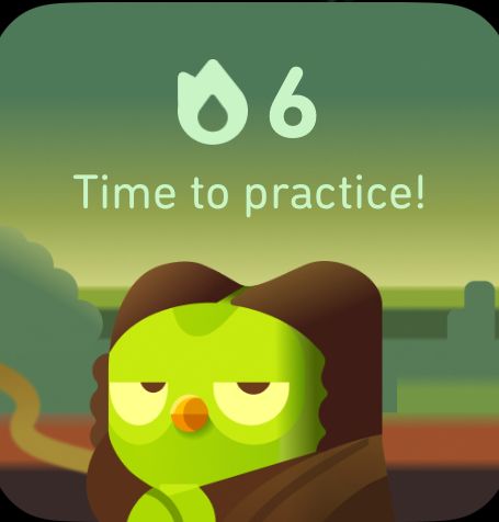 Duolingo Widget