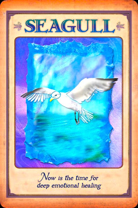 Seagull, from the Messages From Your Animal Spirit Guides Oracle Card deck, by Stephen D Farmer Animal Totem Spirit Guides, Animal Meanings, Spirit Animal Totem, Animal Reiki, Animal Spirit Guide, Fortune Telling Cards, Expressing Emotions, Angel Oracle Cards, Animal Spirit Guides