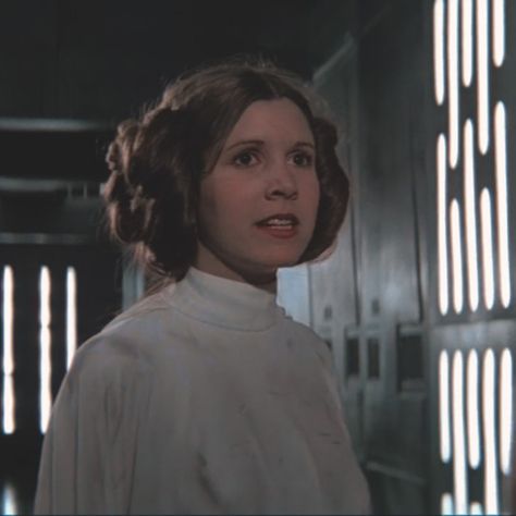 Leia Organa Icon Star Wars Leia Organa Icon, Carrie Fisher Princess Leia, Movie Character Costumes, Star Wars Princess Leia, Star Wars Fashion, Tv Icon, Woman Movie, Female Character Inspiration, Leia Organa