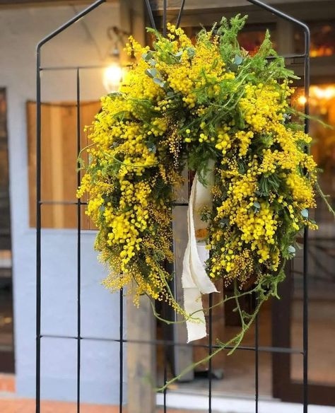 Box Flowers, Wedding Color Palettes, Dry Flower, Dry Flowers, Spring Wreaths, Spring Home Decor, Spring Home, Wedding Color, Mimosa