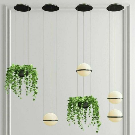 Palma Vertical Pendant & Planter / 5 Selections / 2 Finishes - Creative Lighting Solutions Wooden Pendant Lighting, Wall Ceiling Lights, Hanging Garden, Glass Diffuser, Landscape Projects, Metal Lighting, Plant Holders, Green Plants, Design Awards