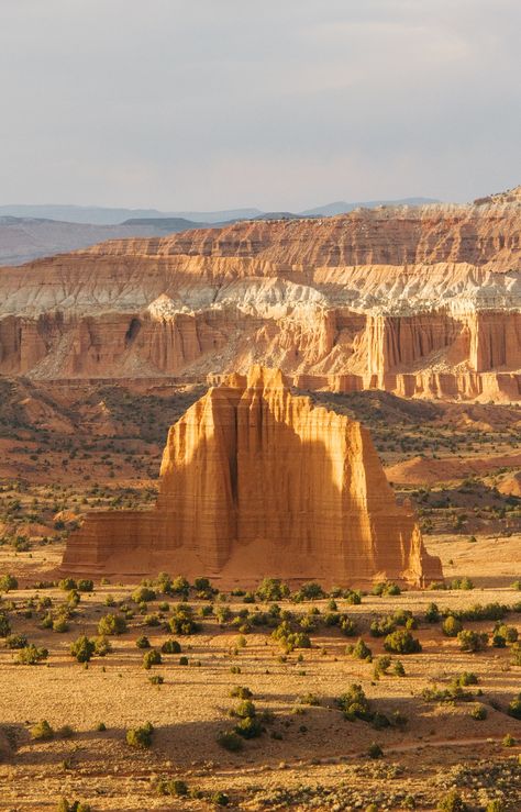 The Wonders of Capitol Reef National Park  Discover More: https://www.facebook.com/The-Most-Amazing-Places-on-Earth-697197843771667/ Capitol Reef National Park Photography, Worldly Aesthetic, Southwest Paintings, Capital Reef National Park, Utah Landscape, Arizona Aesthetic, White Rocks, Visit Idaho, Beautiful Desert