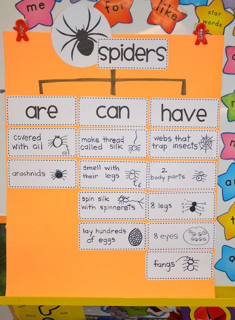 A Place Called Kindergarten: spider research...would be good for guided reading NF graphic organizer October School, Thinking Maps, Fall Kindergarten, Report Writing, Kindergarten Science, Informational Writing, Kindergarten Writing, Science Classroom, Teaching Science