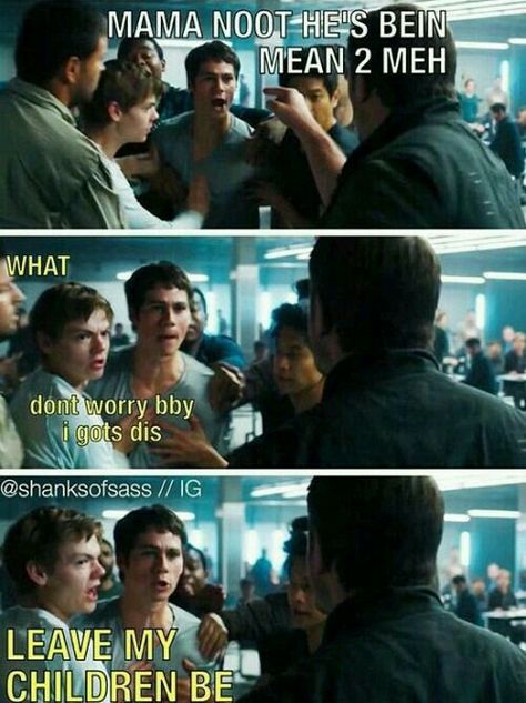 Mama Newt, Maze Runner Thomas, Maze Runner Trilogy, Maze Runner Funny, Maze Runner Imagines, Maze Runner Cast, Maze Runner Movie, Newt Maze Runner, Maze Runner Series