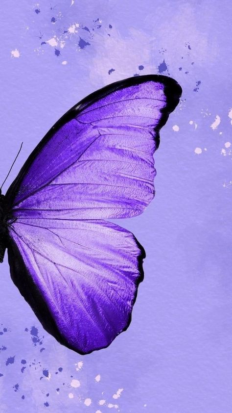 Violet Butterfly Aesthetic, Purple Butterflies Aesthetic, Iphone Wallpaper Hd Black, Aesthetic Morado, Iphone Wallpaper Purple Flower, Black Flowers Wallpaper, Purple Butterfly Wallpaper, Valentines Wallpaper Iphone, Dark Purple Wallpaper