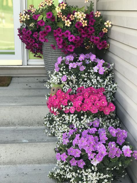 Door Flower Decoration Entrance, Doors With Flowers Entrance, Flower Tunnel Entrance, Landscaping With Roses, Small Yard Landscaping, Vertical Garden Design, Summer Flowers Garden, Patio Flowers, Porch Flowers