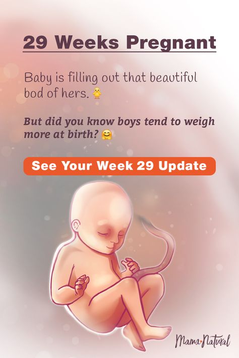 See what's up with baby, mama, and more when you're 29 weeks pregnant. The ultimate week by week natural pregnancy guide! Learn everything from pregnancy symptoms, development, learn to track your baby's growth and natural remedies for a healthy pregnancy. Click to find a complete timeline from the first trimester, second trimester, third trimester with tips for mom and baby to prepare them for a natural birth.   #naturalpregnancy #pregnancytips #naturalbirth 30 Weeks Pregnant Baby, 29 Week Pregnancy, 28 Week Pregnancy, Pregnancy Symptoms By Week, Baby In Womb, Pregnant Life, 29 Weeks Pregnant, 40 Weeks Pregnant, 28 Weeks Pregnant