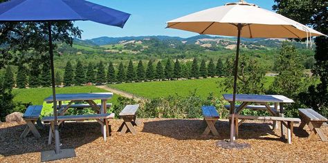 12 Best Sonoma Wineries With Beautiful Views | Food & Wine Sonoma Valley Wineries, Coastal Fog, Sonoma Wineries, Wine Country Travel, Russian River Valley, Sonoma California, Sonoma Valley, Redwood Forest, Wine Travel