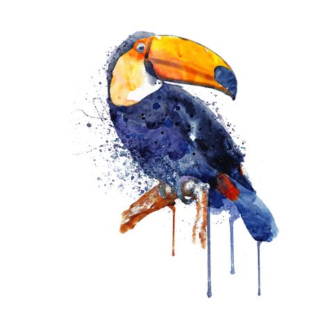 Check out this awesome 'Toucan' design on @TeePublic! Toucan Art, Toco Toucan, Toucan Bird, American Giant, Bird Watercolor Paintings, Wildlife Decor, Tropical Wall Art, Exotic Bird, Bird Art Print