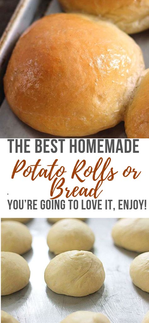 Potatoes Bread Recipe, Potato Yeast Bread Recipe, Homemade Potato Rolls, How To Make Potato Bread, Easy Potato Bread, Potatoe Bread Recipe Easy, Potato Dough Recipe, Potato Rolls Recipe Mashed, Bread Potato Recipes