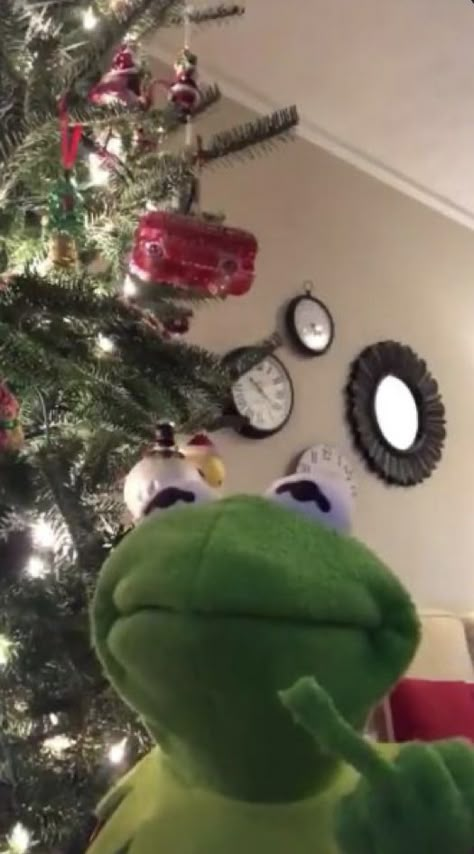 Widget Apps, Sapo Kermit, Elmo Wallpaper, Kermit Meme, Kermit Memes, Trippy Iphone Wallpaper, Kermit Funny, Frog Wallpaper, Christmas Memes