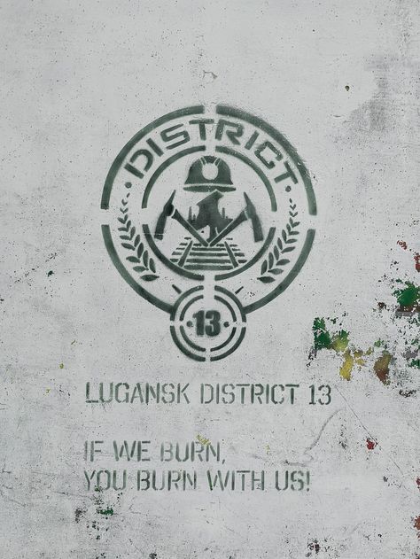 Hunger Games District 13, Hunger Games Symbol, Hunger Games Fanfiction, Supply Teacher, Hunger Games Districts, District 13, Star Wars Comics, Monster High Characters, Make Love