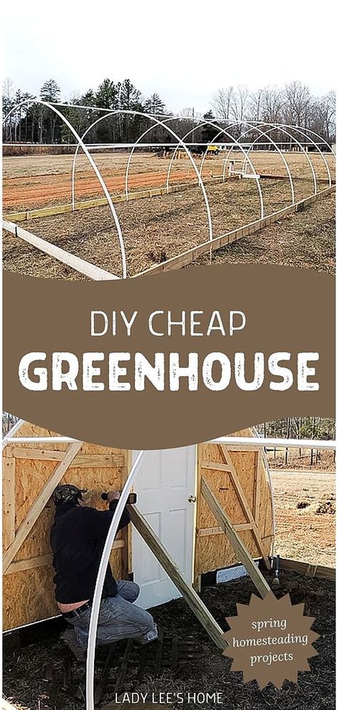 Embark on a spring homesteading project by building a DIY cheap greenhouse. Our guide details how to construct a 12 x 30 PVC greenhouse for under $400, a perfect project for those looking to save while expanding their gardening capabilities. Great for spring garden planting ideas and DIY outdoor projects for homestead survival. Find out more at ladyleeshome.com. Cheap Gazebo, Simple Greenhouse, Pvc Greenhouse, Cheap Greenhouse, Wood Sun, Sustainable Homestead, Diy Greenhouse Plans, Garden Wood, Large Greenhouse