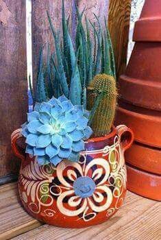 Container Pottery Cactus, Succulent Inspiration, Mexico Pottery, Mexican Garden, Colorful Cactus, Cactus Succulents, Bean Pot, Cactus Decor, Mexican Decor