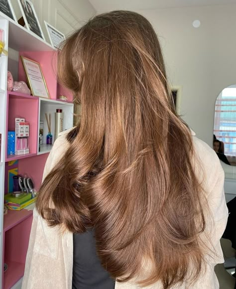 Butterscotch Brown Hair, Butterscotch Hair Color, Butterscotch Hair, Glossy Brunette, Brown Hair Tones, Cinnamon Brown Hair, Golden Hair Color, Brown Hair Inspiration, Ash Brown Hair Color