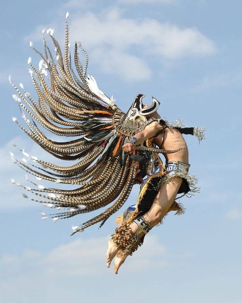 Aztec dancer in flight Charles Freger, Aztec Culture, Aztec Warrior, Aztec Art, Pow Wow, Foto Art, Mexican Culture, World Cultures, People Of The World