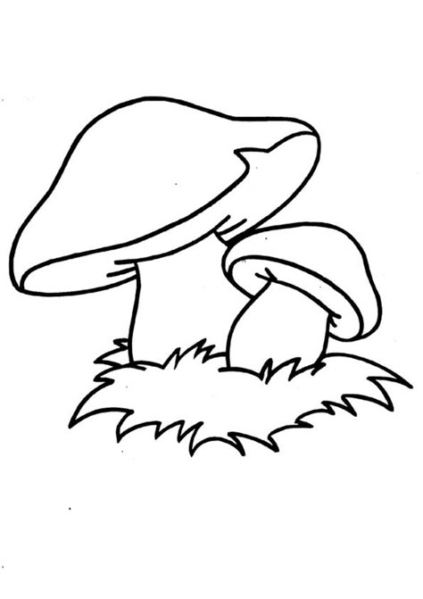 Fairy Mushroom Drawing, Mushroom Drawing Color, Mushroom Stencil, Mushroom Coloring, Mushroom Template, Coloring Mushrooms, Mushroom Outline, Mushrooms Drawing, Mushroom Coloring Pages