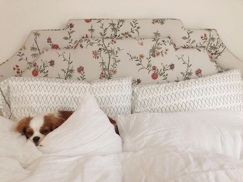 Lauren | Bliss This House (@laurenehaden_) • Instagram photos and videos Small Bedroom Layouts, Floral Headboard, Headboard Inspiration, Headboard Bedroom, Art Deco Bed, Small Bedroom Organization, Small Bedroom Layout, Cottage Bed, Matching Nightstands