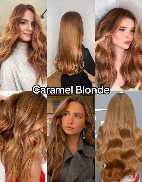 Best blonde hair for warm undertone: Discover golden, honey, and strawberry blonde shades that enhance your natural glow. Expert tips included. Blonde Hair For Warm Undertones, Hair For Warm Undertones, Beige Strawberry Blonde Hair, Golden Honey Hair, Warm Caramel Hair, Golden Honey Blonde Hair, Dark Golden Blonde Hair, Warm Golden Blonde Hair, Strawberry Blonde Hair Ideas