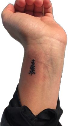 Washington Tattoo Ideas, Stick Season Tattoo, Small Pine Tree Tattoo, Redwood Tree Tattoo, Pacific Northwest Tattoo, Evergreen Tattoo, Washington Tattoo, Twenty One Pilots Tattoo, Evergreen Tree Tattoo