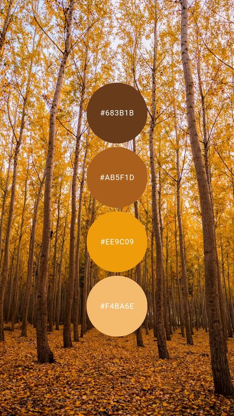 Amber Interiors Paint Colors, October Colour Palette, Brown And Orange Living Room Ideas, Amber Aesthetic Color, Amber Color Palette, Amber Room, September Colors, Yarn Color Combinations, Living Colors