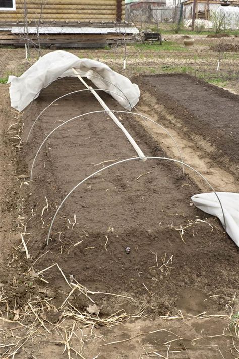 Cheap Garden Beds, Lasagna Gardening, Cheap Garden, Vegetable Harvest, Garden Rake, Gardening Techniques, Mother Earth News, Garden Veggies, Ground Level