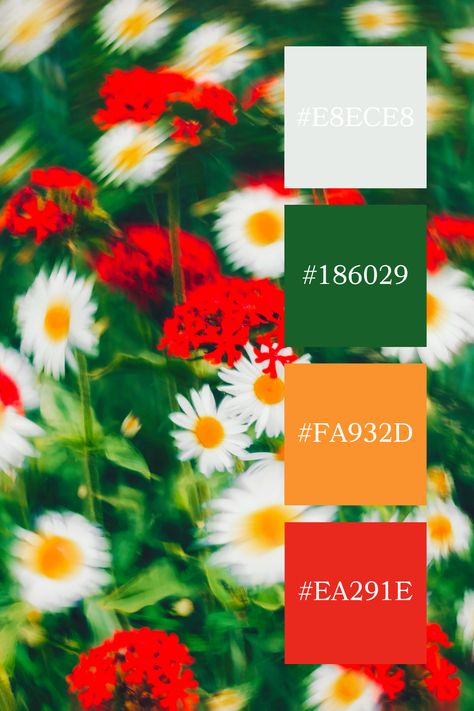 Color Palette with Green - Red and White Flowers:
A vibrant mix of red and white flowers with green stems and leaves, creating a lively and colorful garden scene. Red Yellow Green Color Palette, Bright Green Color Palette, Red And White Flowers, Red Colour Palette, Red Green Yellow, Color Palette Generator, Green Colour Palette, Color Harmony, Floral Color