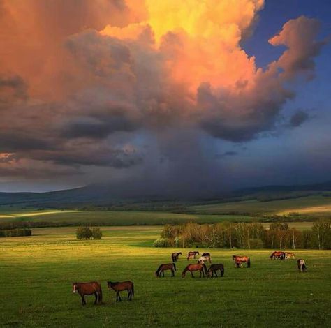 Beautiful Stormy Sky, Nature Tour, Sky Landscape, Cloudy Sky, Cloud Painting, Natural Phenomena, Elba, Agra, Photo Reference