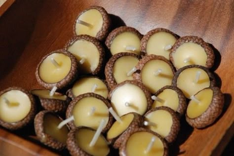 Acorn Candle, Acorn Crafts, Candle Cup, Floating Candles, Nature Crafts, Beeswax Candles, Diy Candles, Yule, Fall Crafts