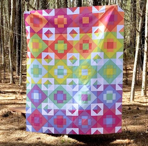 Modern Quilters Showcase 13 - Carolina Oneto Meadowland Quilt, Nancy Zieman, Solid Quilt, Quilt Modernen, Quilts Decor, Rainbow Quilt, Pretty Quilt, Quilt Guild, Traditional Quilts