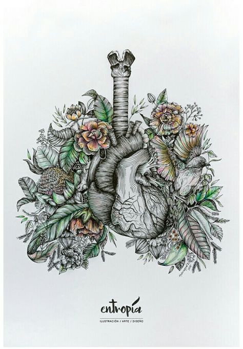 Tattoo - Aesthetic #Art #Anatomic #Heart Heart And Lung Tattoo, Floral Lungs Tattoo, Organ Tattoo, Lung Tattoo, Floral Lungs, Anatomic Heart, Anatomical Tattoos, Lungs Art, Tattoo Dream