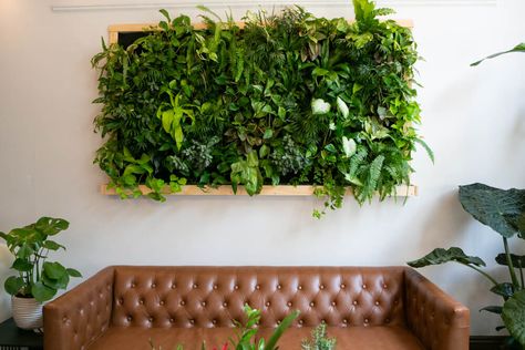 Hoewel planten meestal op de grond of op een tafel of kast staan, kun je dat ook anders aanpakken: ga voor planten aan de muur. Hartstikke leuk! We delen de mooiste ideeën met je: ontdek meer. Beachy Sunroom, Fake Green Wall, Faux Plant Wall, Biophilic Bedroom, Fake Plant Wall, Indoor Ivy, Plant Wall Diy, Living Wall Diy, Living Wall Indoor