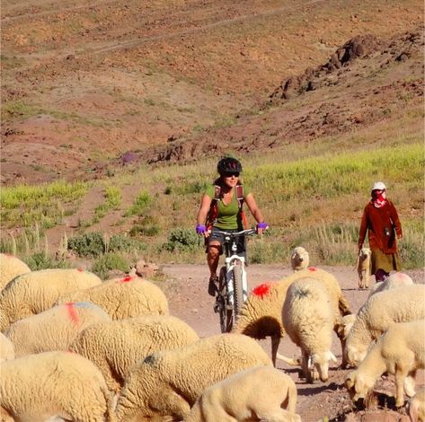 Mountain Bike Morocco ¦ Guided mountain bike tours in Morocco Flight Schedule, Mountain Bike Tour, Suspension Bike, Natural Bridge, Bike Trips, Mountain Biker, Adventure Bike, Village Life, Bike Tour