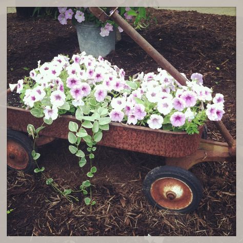 Wagon With Flowers, Garden Arrangement, Junk Garden, Container Gardening Ideas, Garden Junk, Unique Planter, Have Inspiration, Garden Containers, Container Flowers