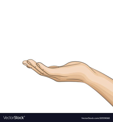 Open Hand Reference, Open Hands Drawing, Hand Holding Something, Baseball Drawings, Palm Of Hand, Open Palm, Hand Palm, Atif Aslam, Hand Reference