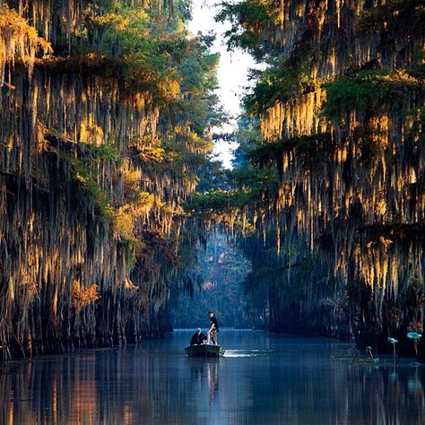 While paddling a rented canoe on Caddo Lake, near the Texas-Louisiana state line, photographer Michael Hanson came across these two men creeping through a corridor of cypress trees as the sun started to rise. “You can get lost so quickly in the maze of those trees,” says Hanson, who grew up in Atlanta and now lives in Seattle. “The South has always been my favorite place to take pictures. It’s layered with history and characters.” Exposure July, 2014 | OutsideOnline.com #Padgram Caddo Lake Texas, Caddo Lake, Texas Lakes, Kaptan Jack Sparrow, Texas Places, Lake Vacation, Adventure Photography, Texas Travel, Down South