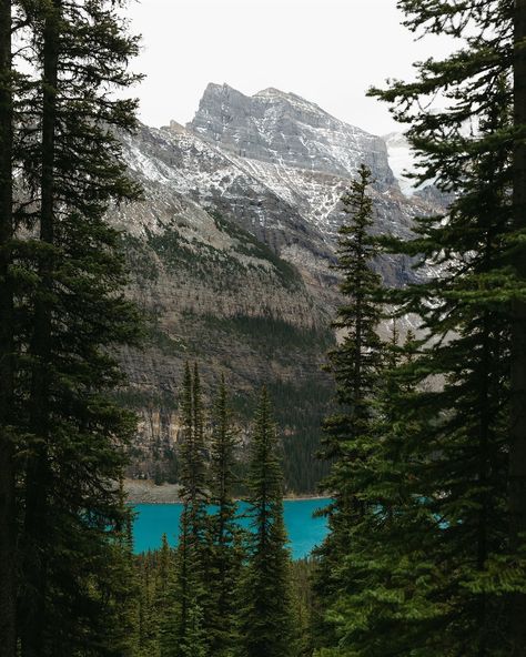 I didn’t know hiking through the mountains in Banff in October was on my bucket list until I checked it off🍂🏔️ #banffnationalpark #explorebanff #explorecanada My Bucket List, Explore Canada, Banff National Park, The Mountain, Bucket List, Hiking, Travel, Quick Saves