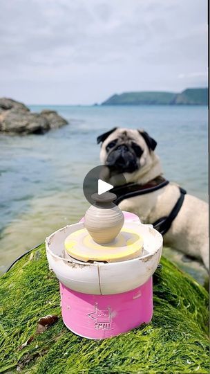 75K views · 1.1K reactions | Mini breaks, mini pottery and pugs! Playing with clay in the sun is so much fun and doing it in the sea with our pug @egg_the_pug in Devon is even better. Obvs he wants to be in every shot and he will even go into the sea to do it! 

We’re on a staycation at @gararockhotel which is the perfect retreat for a bit of small throwing, my wheel fits easily in my beach bag so I’ve been sat in the sea throwing vases that I’m going to make look like urns, ancient ones which have been washed to shore after being shipwercked. 

So while I sit looking out to sea imagining Viking explorers, Roman conqueror’s and pirate hoards  Here is a quick how to on what I do when I make an urn with my @small_ceramics wheel and @potclays white earthenware clay.

#wheelthrownpottery #cera Handbuilding Techniques, Clay Handbuilding, Small Ceramics, Ceramics Wheel, Mini Pottery, Adam Johnson, Play Clay, Wheel Thrown Pottery, Earthenware Clay