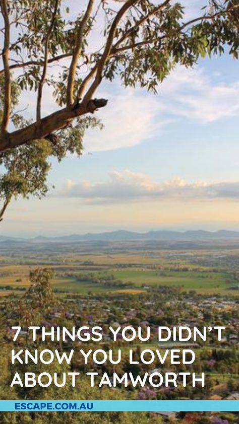 Tamworth Nsw, Tamworth, Visit Australia, Australia Travel, Travel Bucket List, Travel Bucket, Knowing You, Bucket List, Australia