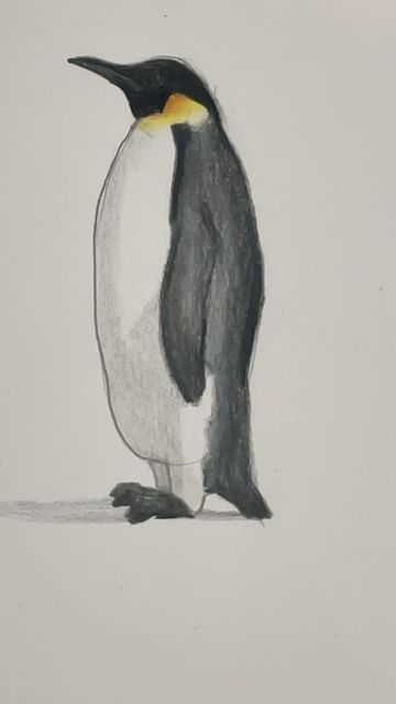 Penguin Drawing Easy, Draw A Penguin, Penguin Sketch, Easy Paintings For Beginners, Penguin Drawing, Penguin Art, Drawing Lesson, Black And White Landscape