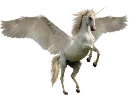 Free Image on Pixabay - Unicorn, Fantasy, Horse, Mythology Mythical Creatures List, Unicorn Images, Unicorn Photos, Flying Unicorn, Magical Horses, Unicorns Png, Unicorn Pictures, Fantasy Horses, Winged Horse