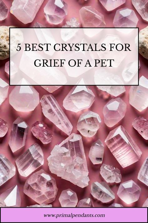 5 Best Crystals for Grief of a Pet Pet Healing, Natural Remedies For Allergies, Power Of Crystals, Allergy Remedies, Best Crystals, Protection Crystals, Be Gentle With Yourself, Meditation Techniques, Find Peace